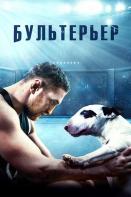 Бультерьер (2022)