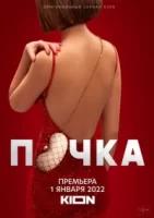 Почка (2022)