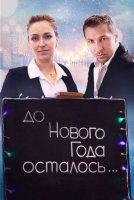До Нового года осталось... (2019)
