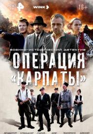Операция «Карпаты» (2024)
